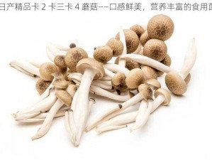 日产精品卡 2 卡三卡 4 蘑菇——口感鲜美，营养丰富的食用菌