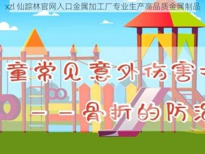 xzl 仙踪林官网入口金属加工厂专业生产高品质金属制品