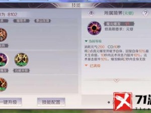 《驭灵师》攻略宝典：技能符文深度解析与实战应用指南