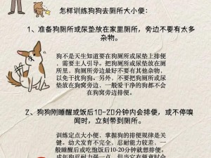 狗狗如厕诱导剂：让狗狗轻松学会在自己房间拉屎