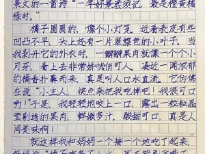 公共玩具小诗日记写作方法及使用说明