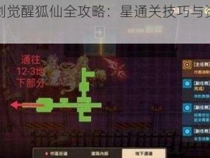 坎公骑冠剑觉醒狐仙全攻略：星通关技巧与资源全收集指南