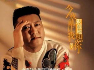 今夜就让我狠狠地想你歌无损音质黑胶唱片