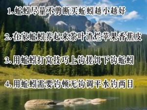 关于dinkum钓鱼方法：掌握精髓，轻松上钩的钓鱼艺术之旅