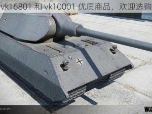 vk16801 和 vk10001 优质商品，欢迎选购