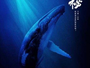 《念逍遥》寂幽深海神秘之旅：探秘海域的奇幻之旅