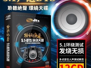 定制高端定制环绕立体声音响，你叫的声音越大老子越喜欢