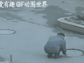 动作 gif 后人试动态图展示了一个有趣的实验过程