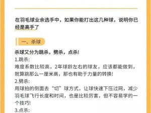 《羽毛球高高手》全面攻略解析：实战技巧与玩法深度解读