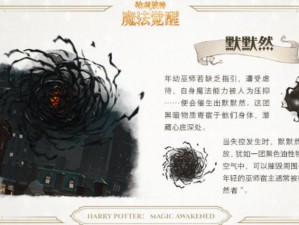 哈利波特高频次伤害法术卡牌：神秘魔法与终极打击力的挑战