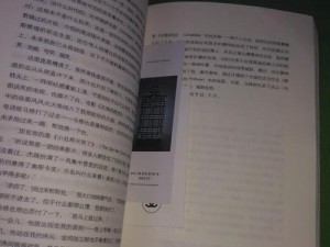 谜塔之下，孩子们的寻觅之旅：兰兰的觉醒与塔底之谜的解锁