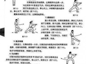 功夫少林套装全面解析：装备览及特点介绍