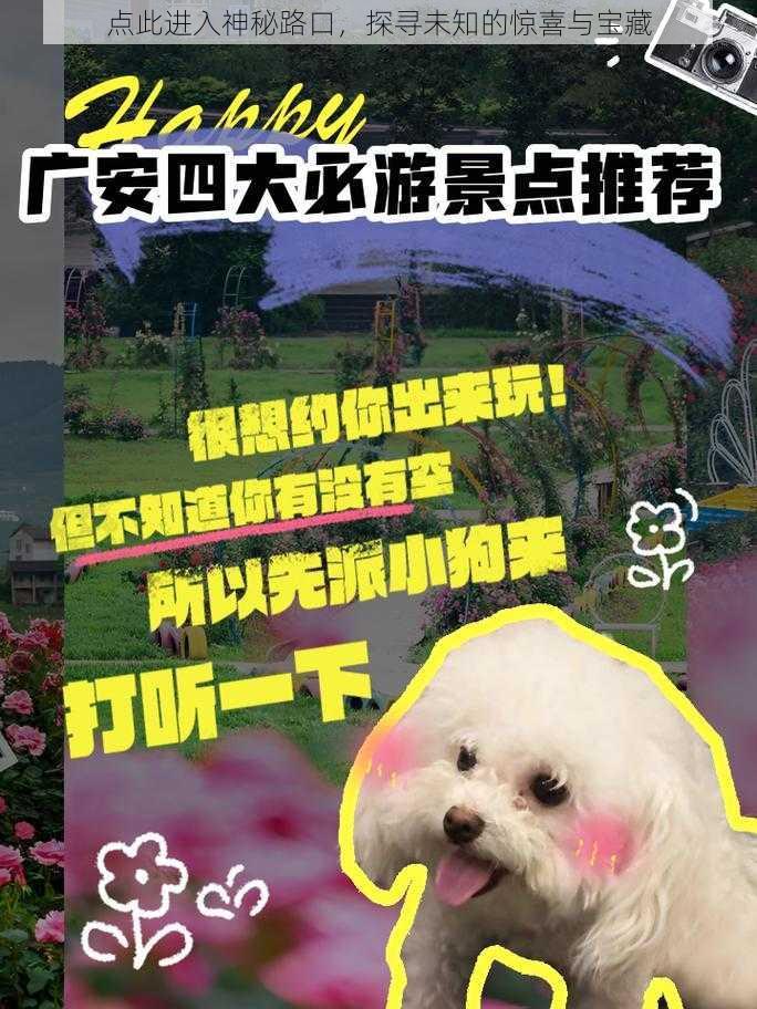 点此进入神秘路口，探寻未知的惊喜与宝藏