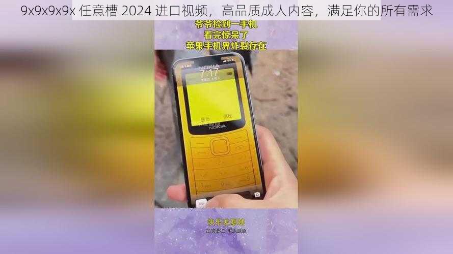 9x9x9x9x 任意槽 2024 进口视频，高品质成人内容，满足你的所有需求