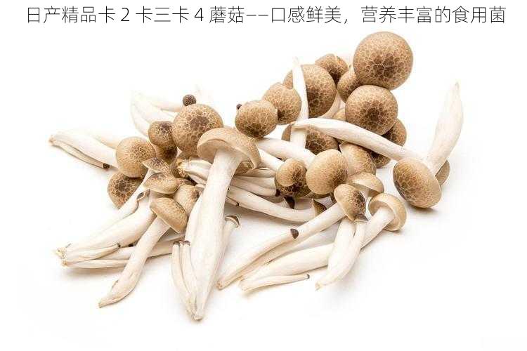 日产精品卡 2 卡三卡 4 蘑菇——口感鲜美，营养丰富的食用菌