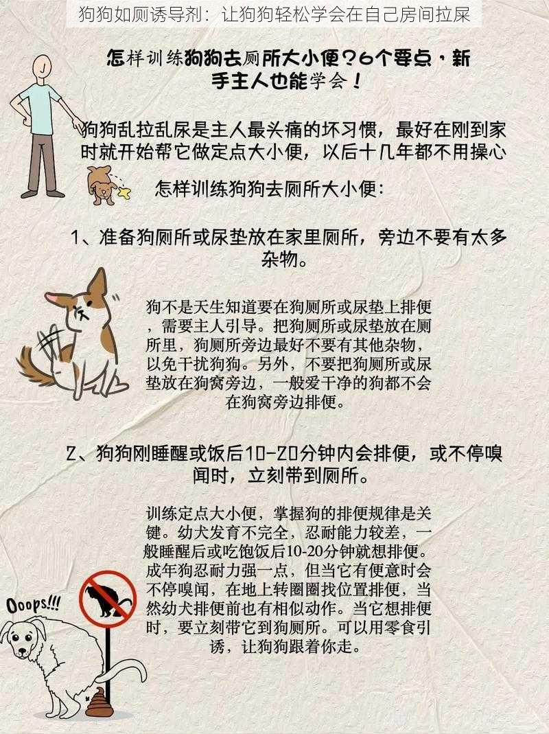 狗狗如厕诱导剂：让狗狗轻松学会在自己房间拉屎