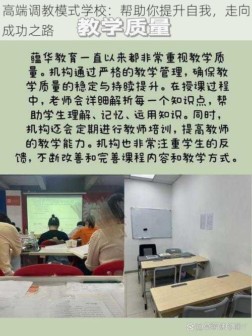 高端调教模式学校：帮助你提升自我，走向成功之路