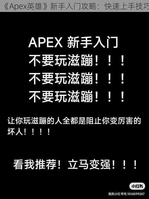 《Apex英雄》新手入门攻略：快速上手技巧