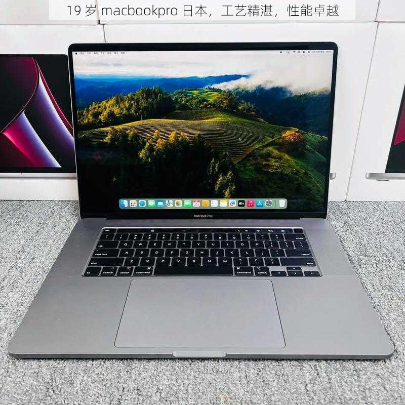 19 岁 macbookpro 日本，工艺精湛，性能卓越