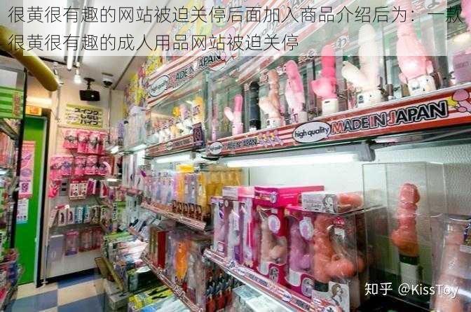 很黄很有趣的网站被迫关停后面加入商品介绍后为：一款很黄很有趣的成人用品网站被迫关停