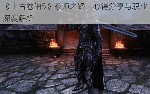 《上古卷轴5》拳师之路：心得分享与职业深度解析