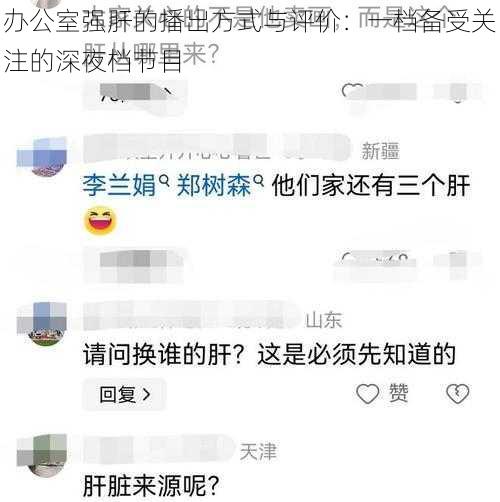 办公室强肝的播出方式与评价：一档备受关注的深夜档节目