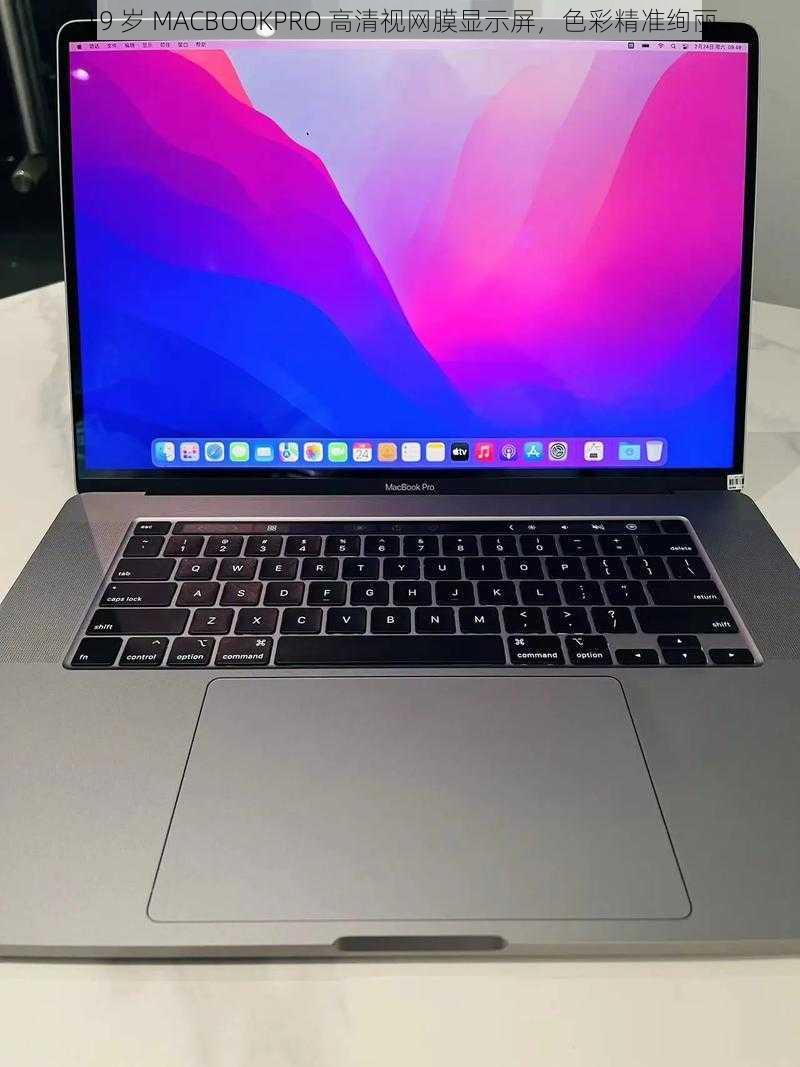 19 岁 MACBOOKPRO 高清视网膜显示屏，色彩精准绚丽