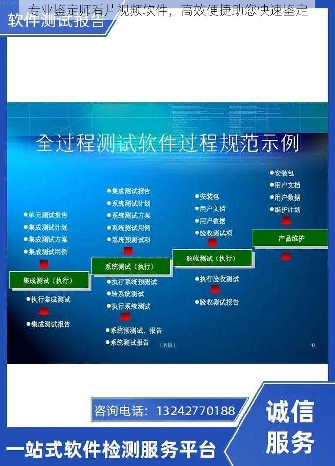 专业鉴定师看片视频软件，高效便捷助您快速鉴定