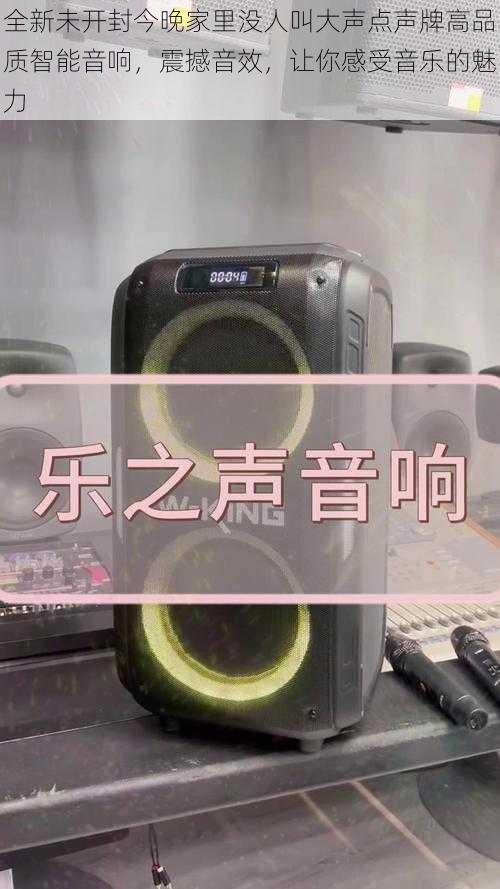 全新未开封今晚家里没人叫大声点声牌高品质智能音响，震撼音效，让你感受音乐的魅力