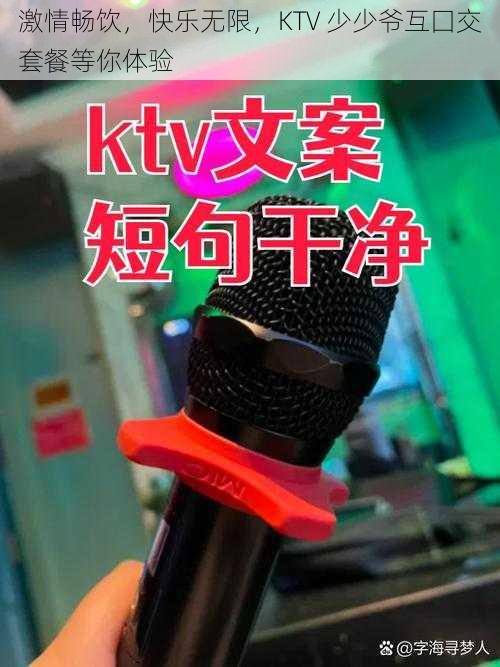 激情畅饮，快乐无限，KTV 少少爷互囗交套餐等你体验