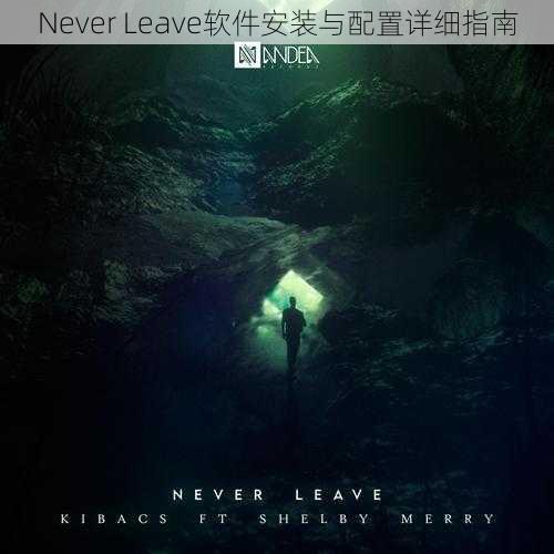 Never Leave软件安装与配置详细指南