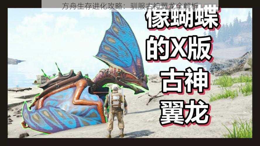 方舟生存进化攻略：驯服古神翼龙全解析