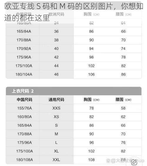 欧亚专线 S 码和 M 码的区别图片，你想知道的都在这里