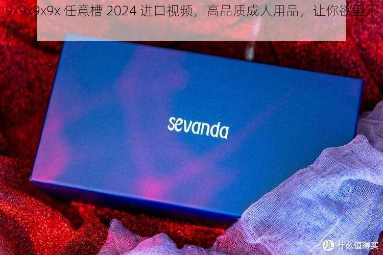 9x9x9x9x 任意槽 2024 进口视频，高品质成人用品，让你欲罢不能