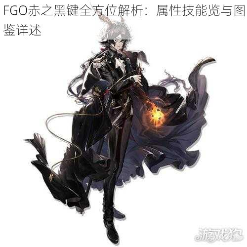 FGO赤之黑键全方位解析：属性技能览与图鉴详述