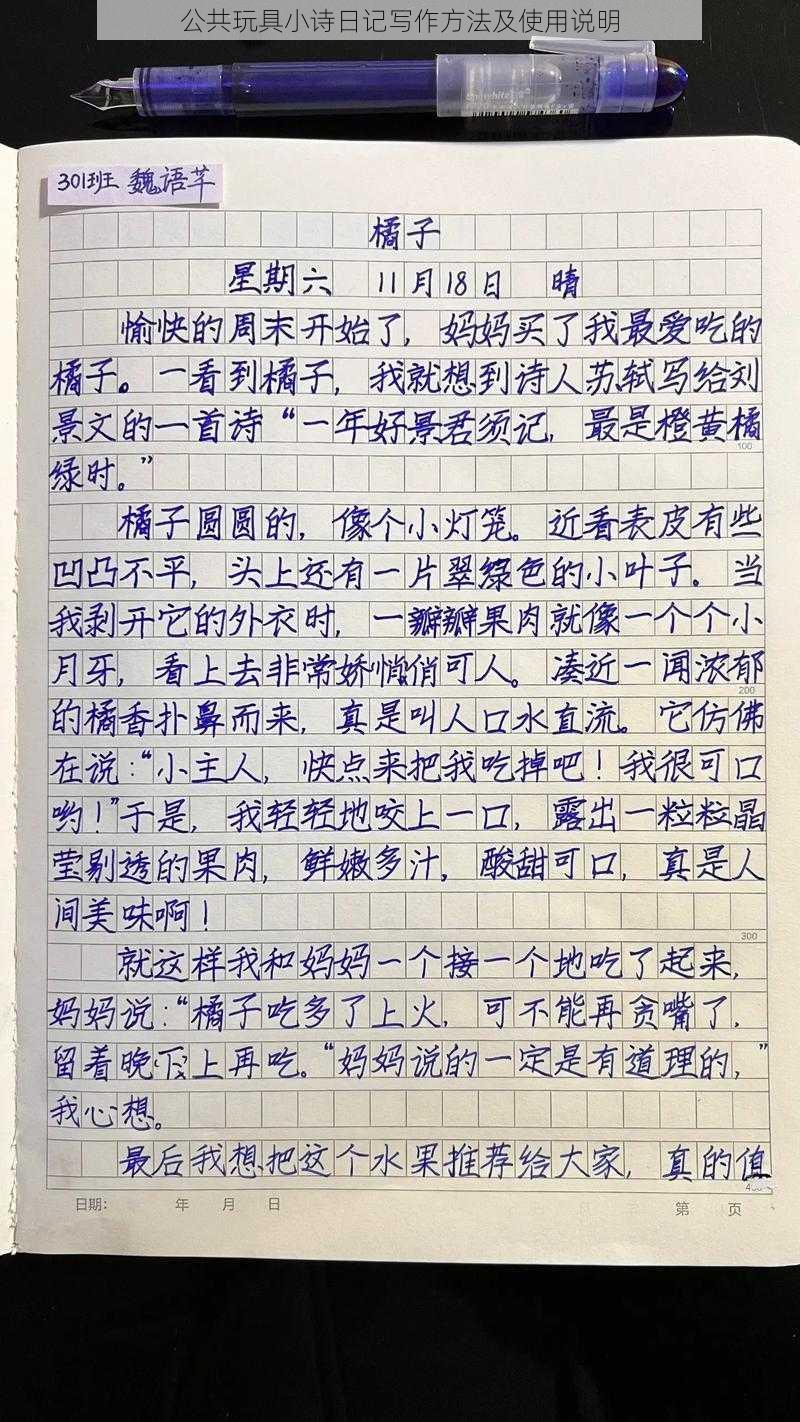 公共玩具小诗日记写作方法及使用说明