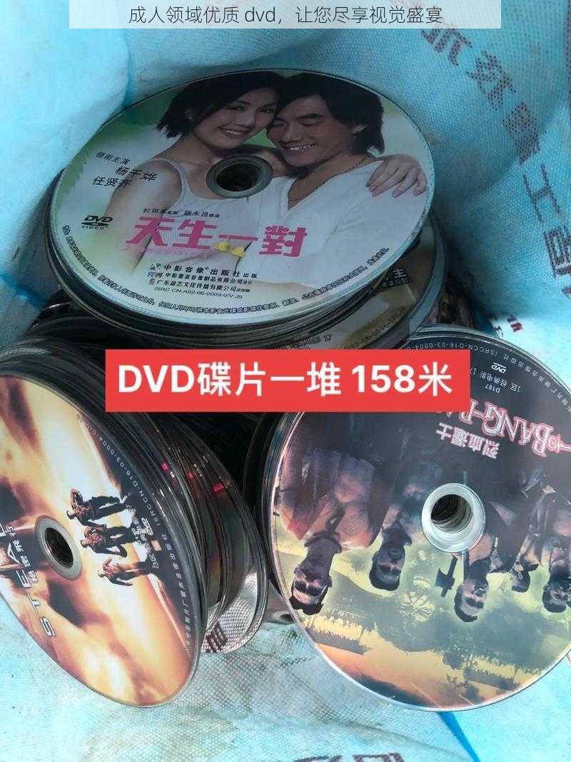 成人领域优质 dvd，让您尽享视觉盛宴